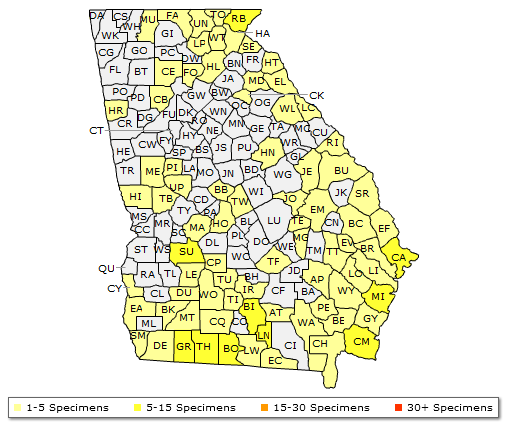 The Georgia range of Symplocos tinctoria